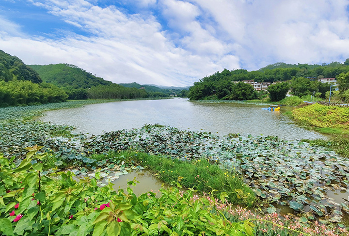 碧莲瑶池 (4).jpg
