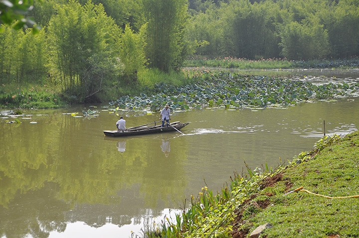 碧莲瑶池 (5).JPG